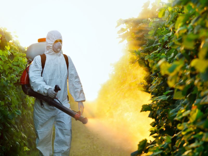 Produtos fitofarmacêuticos – aplicação com equipamentos de pulverização manual